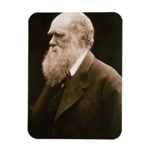 Charles Darwin (1809-82) (Foto) Magnet