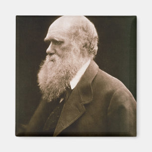 Charles Darwin (1809-82) (Foto) Magnet