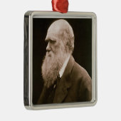 Charles Darwin (1809-82) (Foto) Silbernes Ornament (Rechts)