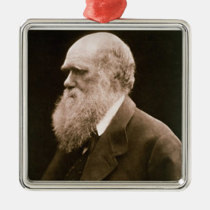 Charles Darwin (1809-82) (Foto) Silbernes Ornament