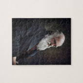 Charles Darwin 1878 Colorized Puzzle (Horizontal)