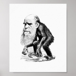 Charles Darwin als Ape Poster