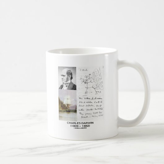 Charles Darwin (Beagle Phylogenetics Darwin HMS) Kaffeetasse (Rechts)
