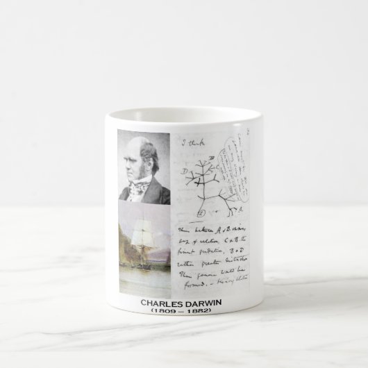 Charles Darwin (Beagle Phylogenetics Darwin HMS) Kaffeetasse (Mittel)