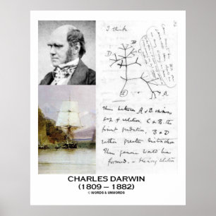 Charles Darwin Collage HMS Beagle Evolution Poster