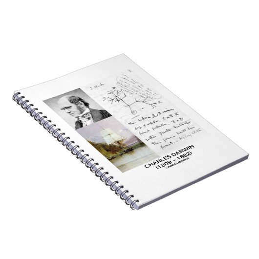 Charles Darwin (Darwin HMS Beagle Phylogenetics) Notizblock (Rechte Seite)