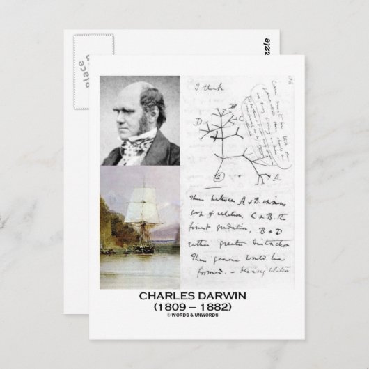 Charles Darwin (Darwin HMS Beagle Phylogenetics) Postkarte (Vorne/Hinten)