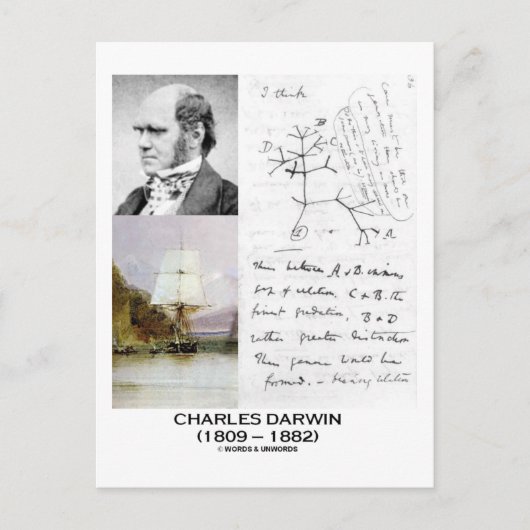 Charles Darwin (Darwin HMS Beagle Phylogenetics) Postkarte (Vorderseite)