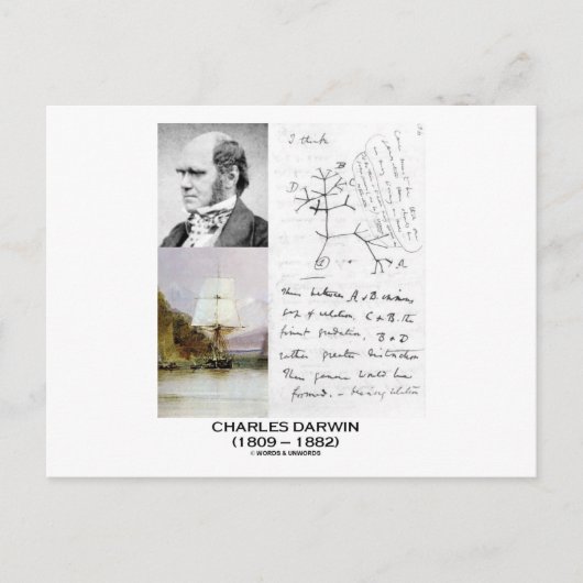 Charles Darwin (Darwin HMS Beagle Phylogenetics) Postkarte (Vorderseite)