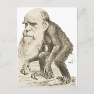Charles Darwin der Affe Postkarte
