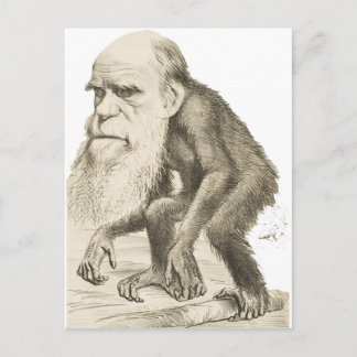 Charles Darwin der Affe Postkarte