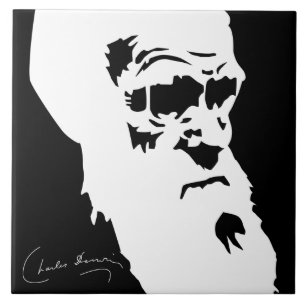 Charles Darwin-Fliese Fliese