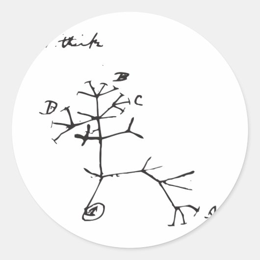 Charles Darwin - I Think (schwarz) Runder Aufkleber (Vorderseite)