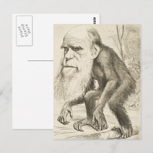 Charles Darwin Original Illustration Postkarte (Vorne/Hinten)