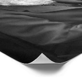 Charles Darwin Portrait - 1874 Poster (Ecke)