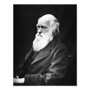 Charles Darwin Portrait Fotodruck