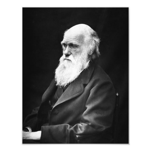 Charles Darwin Portrait Fotodruck (Vorne)