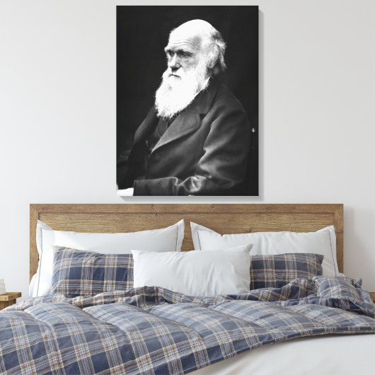 Charles Darwin Portrait Leinwanddruck (Insitu (Schlafzimmer))