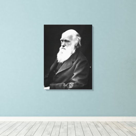Charles Darwin Portrait Leinwanddruck (Insitu (Holzboden))