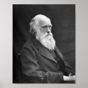 Charles Darwin-Porträt - 1874 Poster