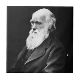 Charles Darwin Porträt Fliese