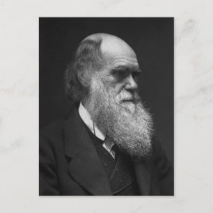 Charles Darwin Postcard Postkarte