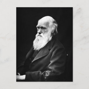 Charles Darwin Postcard Postkarte