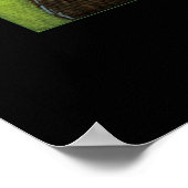 Charles Darwin Poster (Ecke)