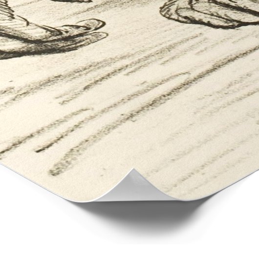 Charles Darwin Poster (Ecke)