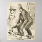Charles Darwin Poster (Vorne)