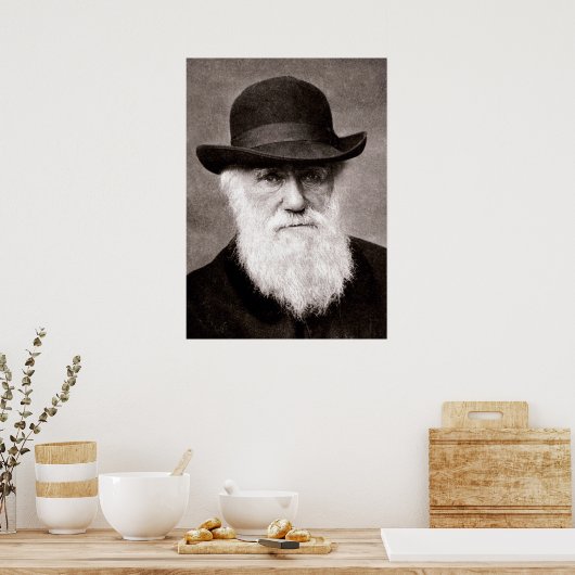 Charles Darwin Poster (Küche)