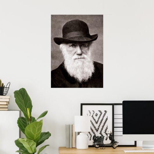 Charles Darwin Poster (Heimbüro)