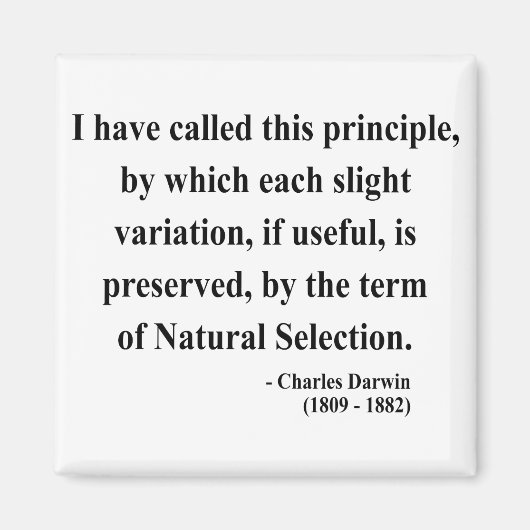 Charles Darwin Quote 6a Magnet (Vorne)