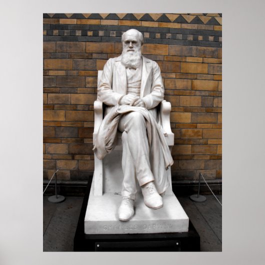 Charles Darwin Statue Poster (Vorne)