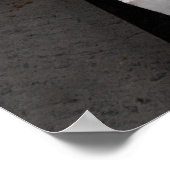 Charles Darwin Statue Poster (Ecke)