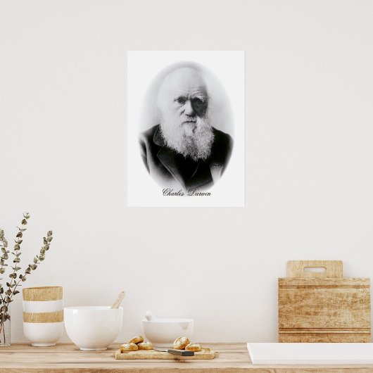 Charles Darwin Vignette Poster (Küche)
