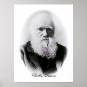 Charles Darwin Vignette Poster (Vorne)
