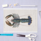 Charles Dessalines D' Orbigny | Crimson Crawfish Seidenpapier (Handwerk)