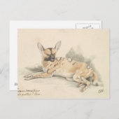 Charles Hamilton Smith - African Wild Dog Postkarte (Vorne/Hinten)