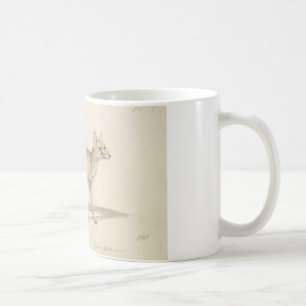 Charles Hamilton Smith - Corsac Dog-Fox Kaffeetasse