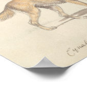 Charles Hamilton Smith - Corsac Dog-Fox Poster (Ecke)