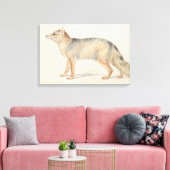 Charles Hamilton Smith - Crab-Eating Fox Leinwanddruck (Insitu (Wohnzimmer))