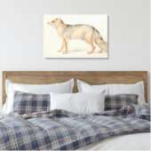 Charles Hamilton Smith - Crab-Eating Fox Leinwanddruck (Insitu (Schlafzimmer))