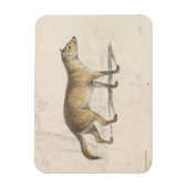 Charles Hamilton Smith - Crabodago Aguara Fox Magnet (Vertikal)