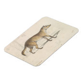 Charles Hamilton Smith - Crabodago Aguara Fox Magnet (Linke Seite)