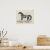 Charles Hamilton Smith - Dongola Horse Poster (Küche)