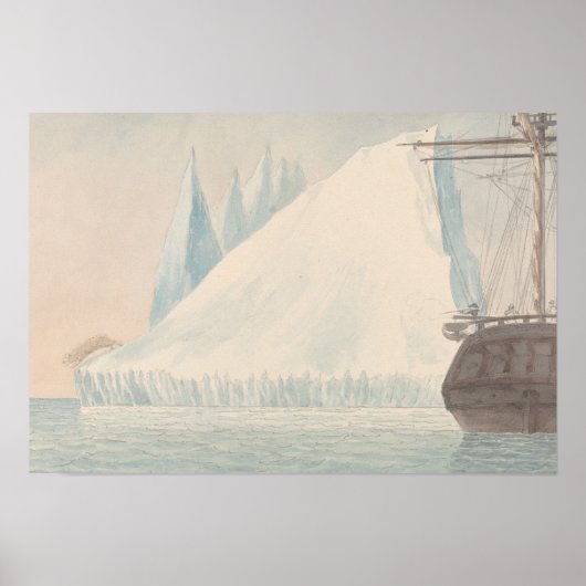 Charles Hamilton Smith - Ein Eisberg und ein Eisbä Poster (Vorne)