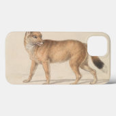 Charles Hamilton Smith - Falkland Islands Wolf Case-Mate iPhone Hülle (Rückseite (Horizontal))