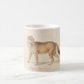 Charles Hamilton Smith - Falkland Islands Wolf Kaffeetasse (Mittel)