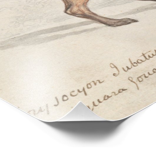 Charles Hamilton Smith - Maned Wolf Fotodruck (Ecke)